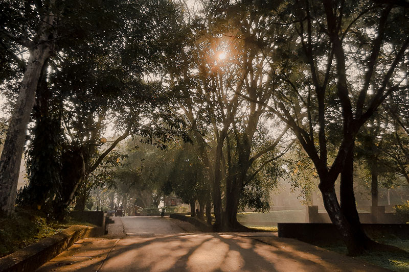 University of Ruhuna agriculture students engaged in a practical fieldwork session